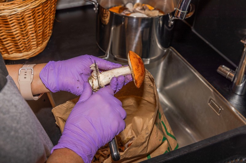 Nem veszélytelen az erdő húsa! Tényleg véd a mérgek ellen, ha így pucoljuk meg?