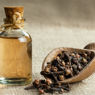 Szegfűszeg: így használja gyógynövényként! Puffadásra és gyulladások ellen is beválhat című cikk nyitóképe