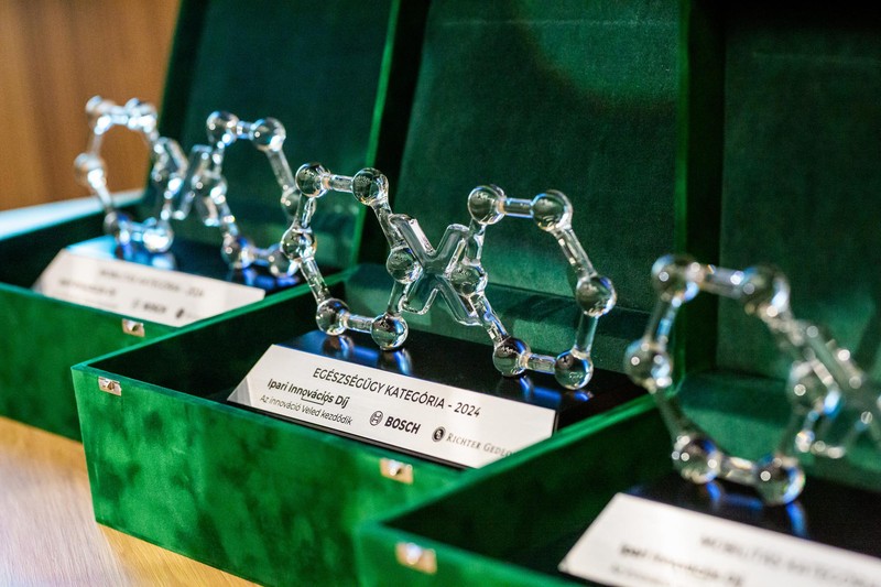 Nagyvárosi oázisoktól a demencia kezeléséig: fiatal tehetségek innovációit díjazta a Bosh és a Richter