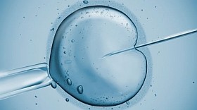 Lombikbébi-programok: változik a szabályozás?