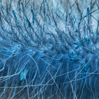 Ez lehet az új azbeszt! Súlyos egészségügyi kockázatra figyelmeztetnek a nanoszálak kutatói című cikk nyitóképe