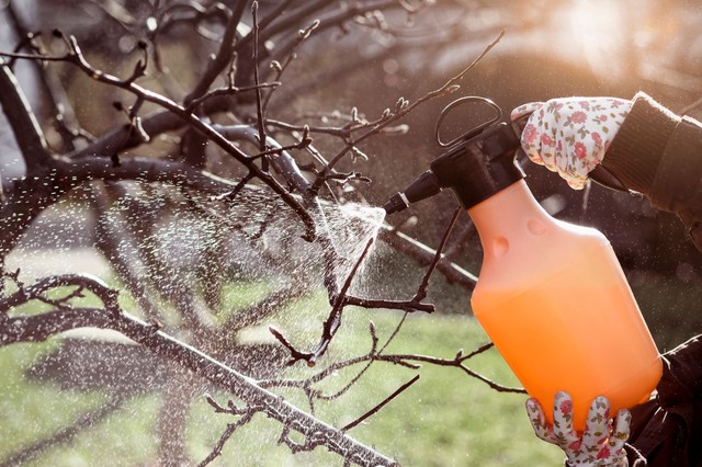 A hamis növényvédő szerek veszélyeire hívja fel a figyelmet a Nébih