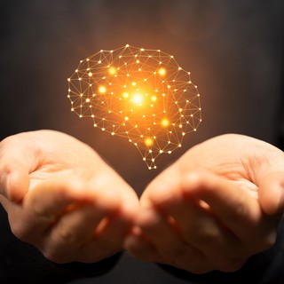 A felnőtt agy rugalmasabb, mint gondolnánk! Hasznos tippek agyunk edzésére című cikk nyitóképe