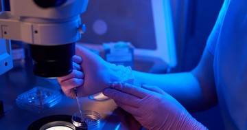  Először használtak emberi bőrsejteket megtermékenyíthető petesejtek létrehozására 