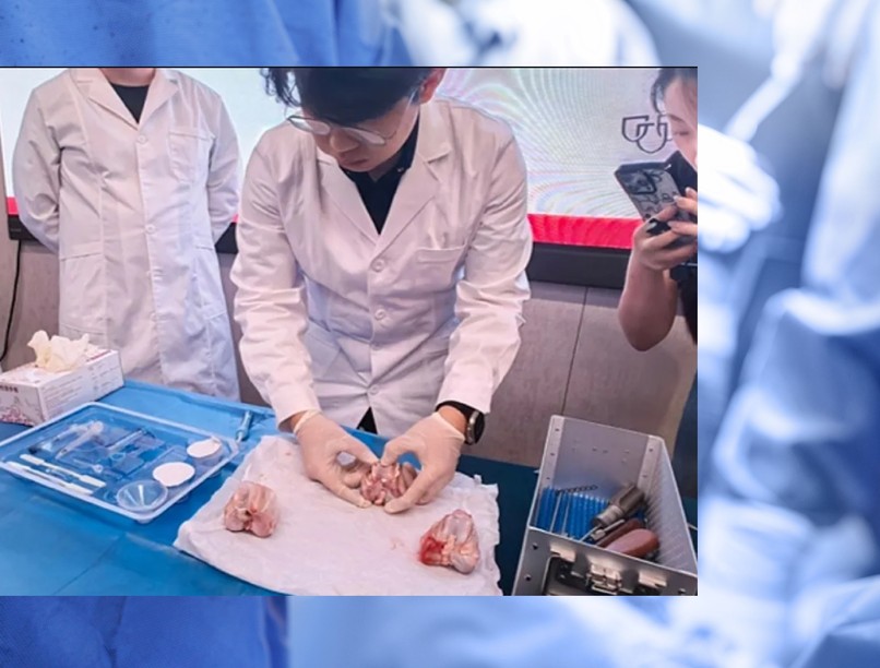 eltört csont gyógyítása kutatás