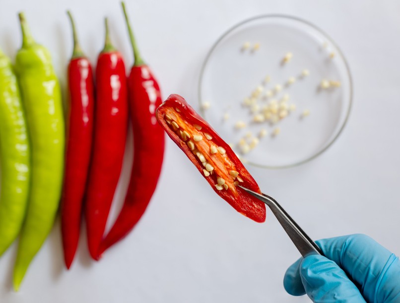 rák ellen, kapszaicin, előnyök, objektív hatások, mellékhatások, chili, cayenne