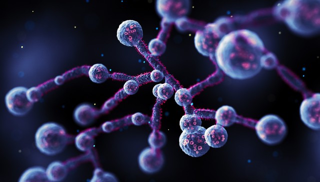 Candida: ez az igazi veszélye a gomba elszaporodásának a bélben