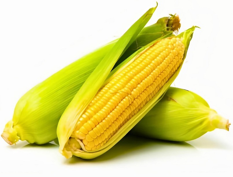 csemegekukorica egészség megőrzés Debreceni Egyetem kutatás