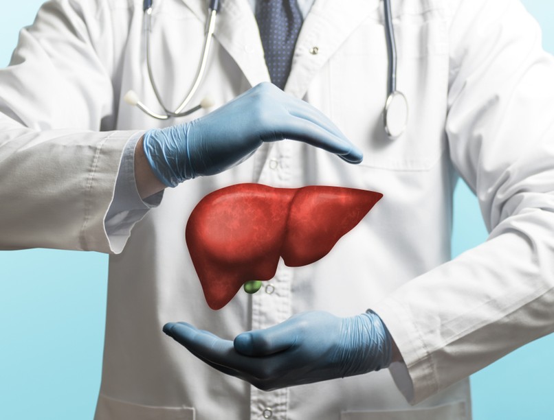 májtranszpalntáció