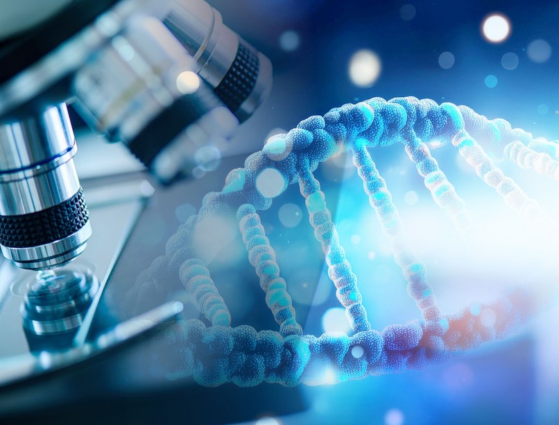 teszt halál ideje mutat mikor kutatás