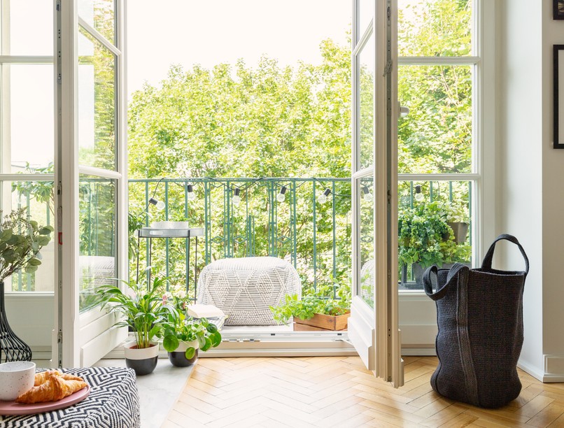 napfény nappali, penész, szoba