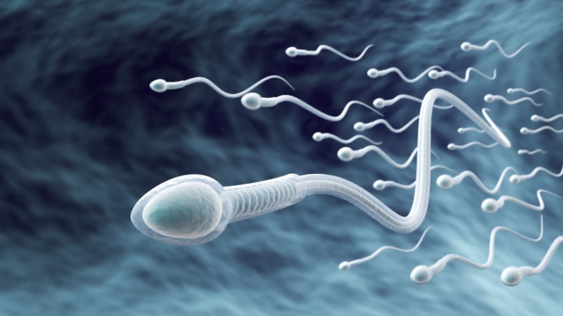 Ebben az életkorban kezdenek „romlani” a férfiak spermái