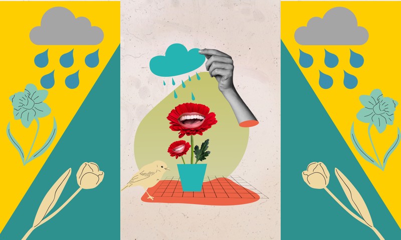 Orvosmeteorológia: borult, és sokfelé csapadékos időt hoz a péntek