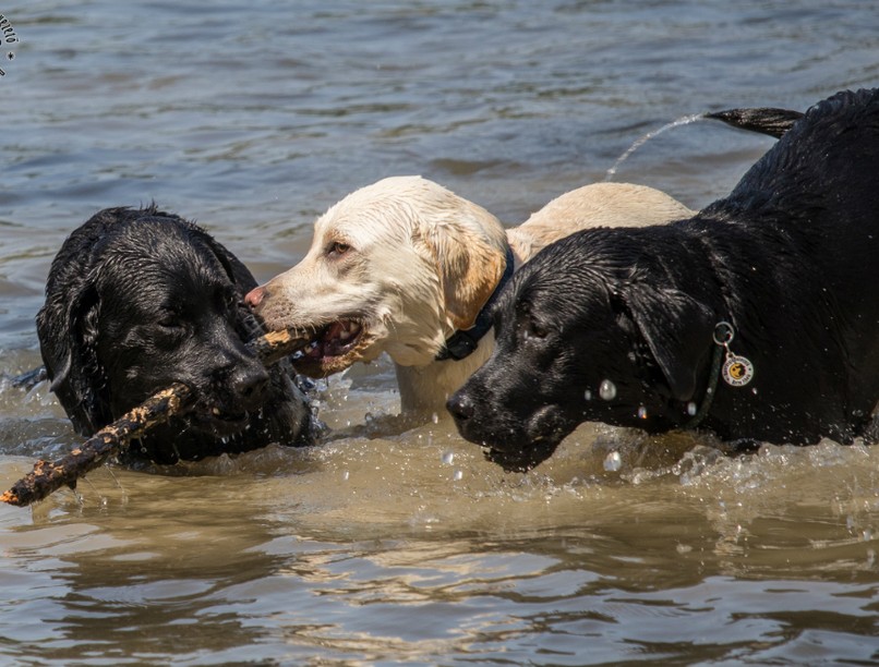jatek_majusi_kolyoktalalkozonkon2_