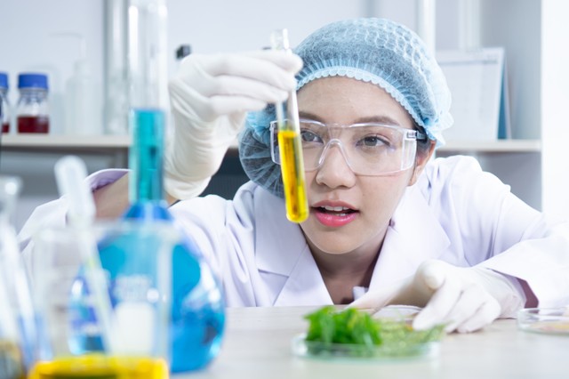 Szőlőből gyógyszer? Így bizonyított a borpor szív- és érbetegségekre