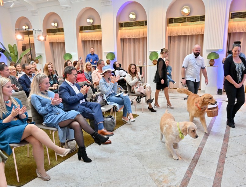 Richter Anna díj, projekt, egészségügy, támogatás