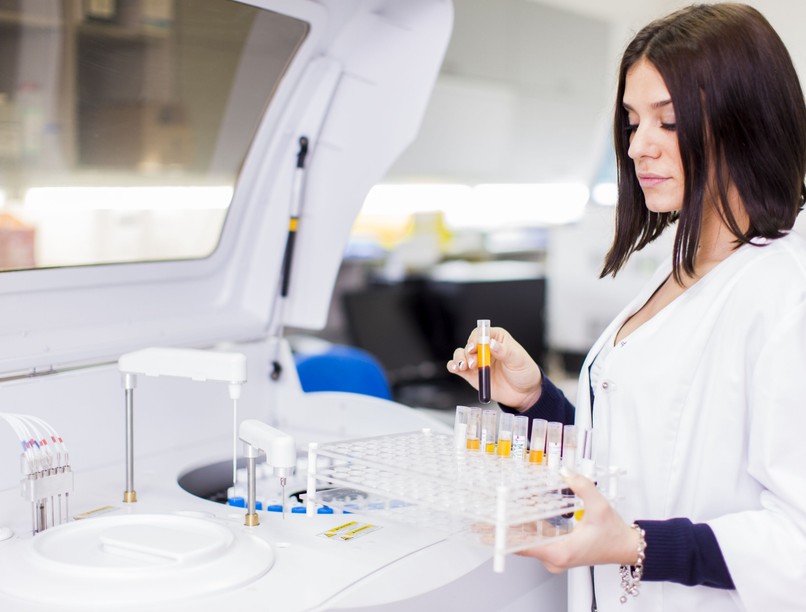 Shutterstock 129146261