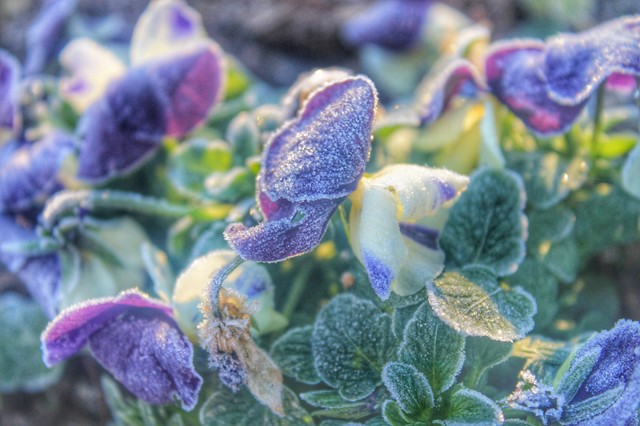 Orvosmeteorológia: ingerülten, fejfájással indulhat a hét