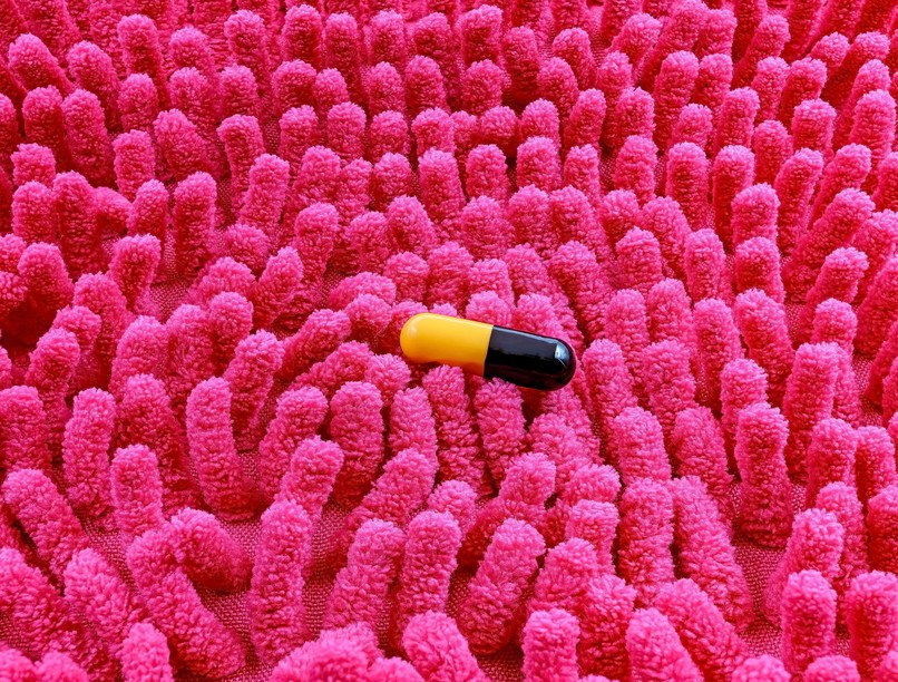 orvostudományi kutatások bél agy tengely mikrobiom