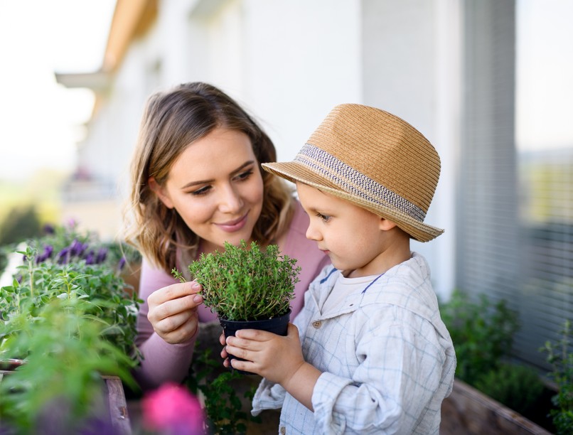 gyógynövény, gyerekek