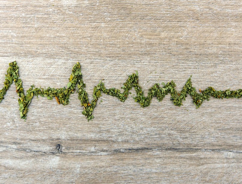 szívritmuszavar esélye orvosi kannabisz kutatás