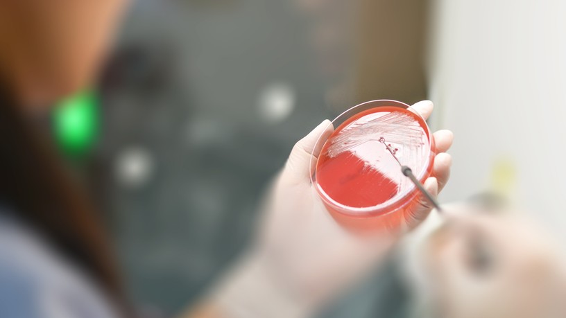 antiotikum, rezisztens, antibiotikum-rezisztancia, fabimicin