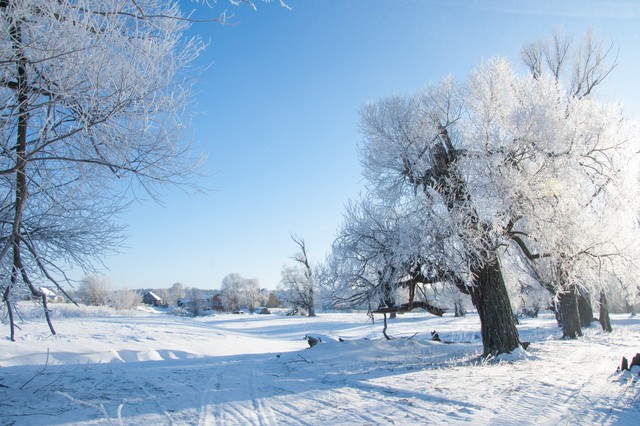 Sarkvidéki hideg érkezik: így készüljön fel a mínuszokra