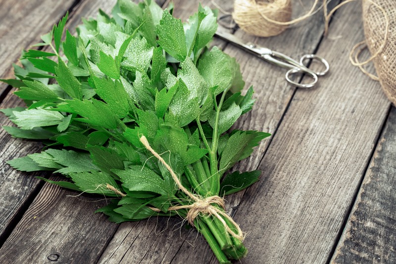 Vesekő és köhögés ellen: ez az ismert fűszer gyógynövényként is beválhat