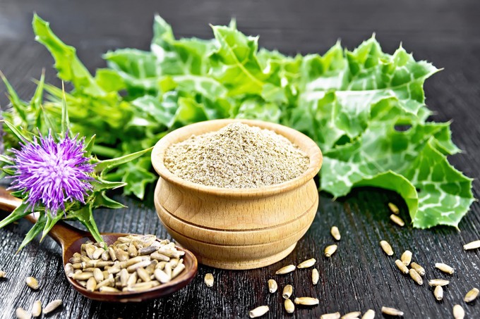 7 dolog, amiben a máriatövis a segítségünkre lehet című cikk nyitóképe