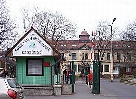 Gyermeknap a Heim Pál Kórházban!