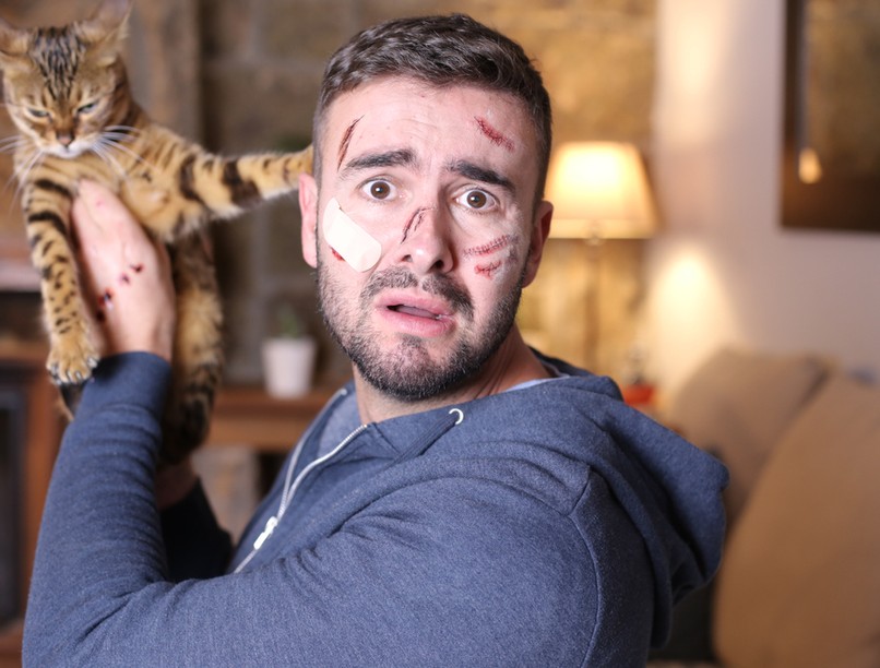 macskakarmolás, macskakarmolási betegség, nyirokcsomók duzzanata, duzzadt nyirokcsomók, Bartonella henselae