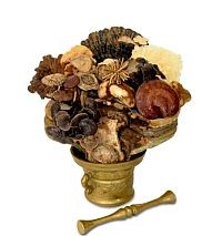 A vezető öt kínai gyógygomba Magyarországon