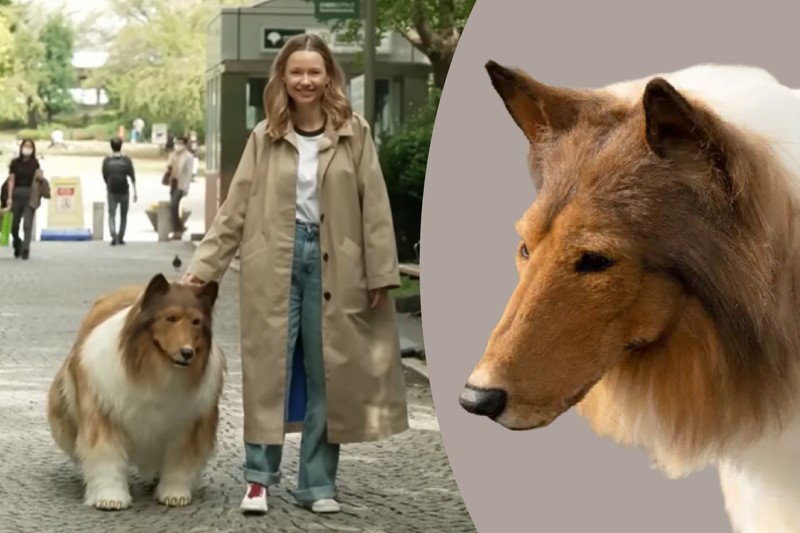 "Amikor kutya vagyok, mindenki kedvel" Megsétáltatták a férfit, aki kutyaként akar élni