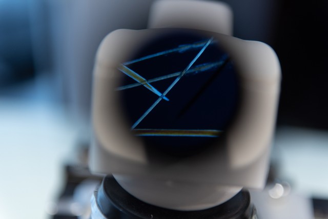 Beszédes haj: ezzel a módszerrel derítik ki, hogy mérgezik-e nehézfémek a szervezetét