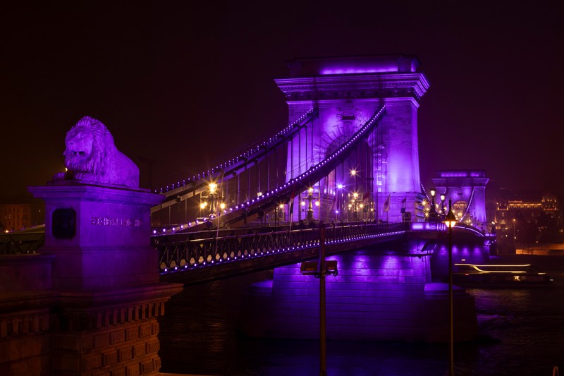 Két hét múlva lilába borul az ország – közeleg a koraszülöttek világnapja