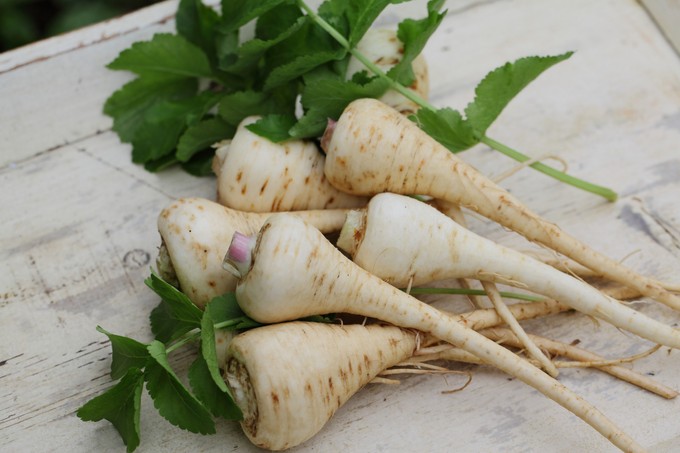 Paszternák, az alábecsült tavaszi zöldség, amivel érdemes barátságot kötnünk című cikk nyitóképe