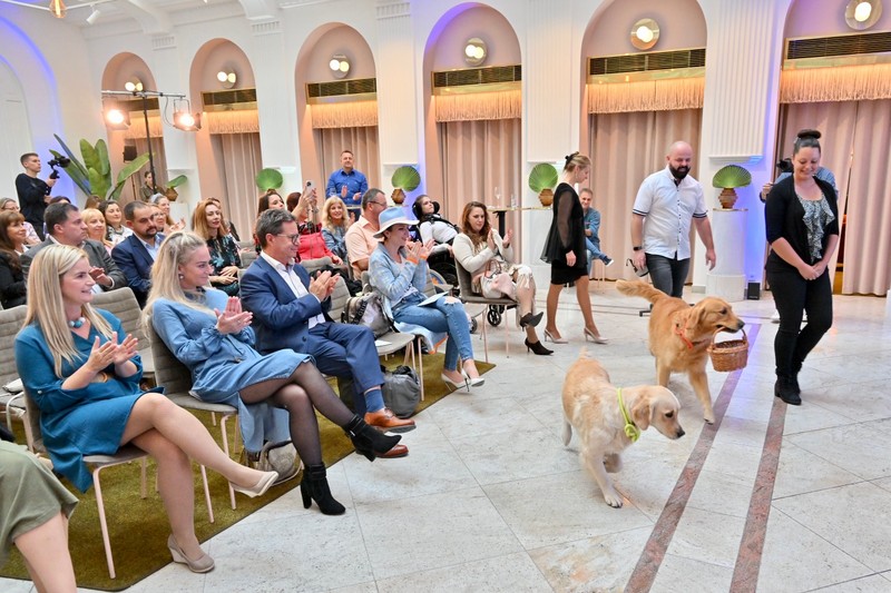 Prevenciós társasjáték, terápiás kutyás tábor - bemutatták a Richter Anna Díj győztes projektjeit