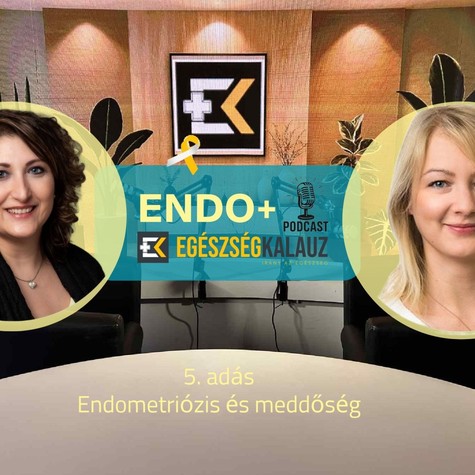 Meddőség és endometriózis: Amikor a diagnózis az anyaság álmát is megkérdőjelezi – ENDO+ videós podcast című cikk nyitóképe