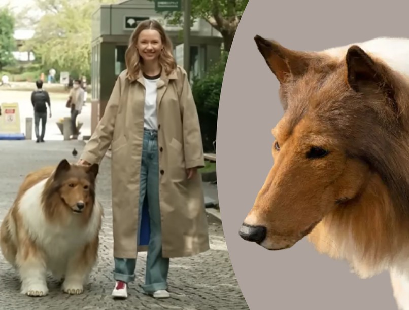 kutyaként akar élni Toco mentális betegség