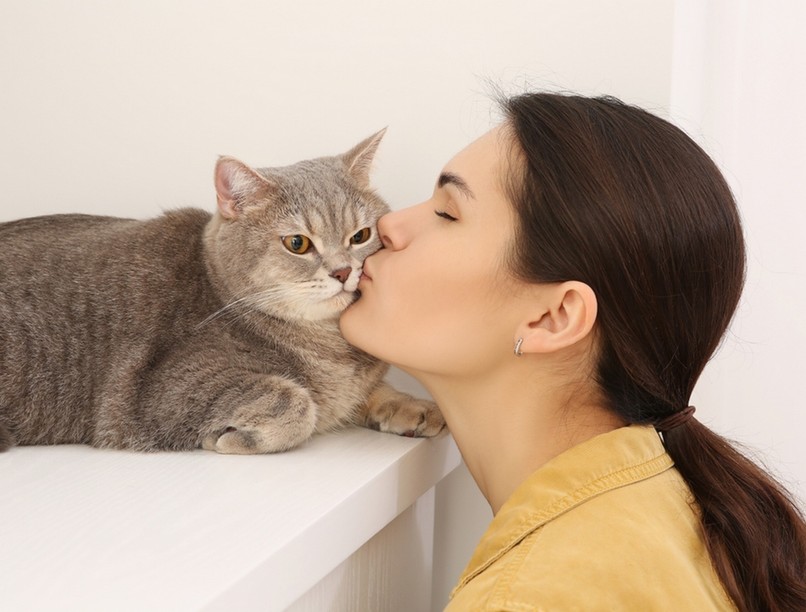 macskaszőr allergia, cica, tüsszögés ellen