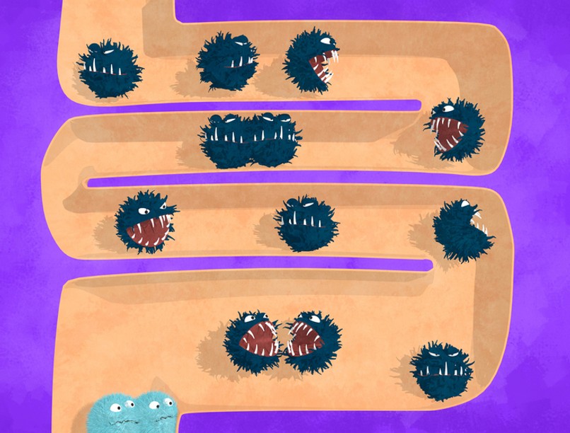 bélflóra, poszt-covid, Covid-19, koronavírus