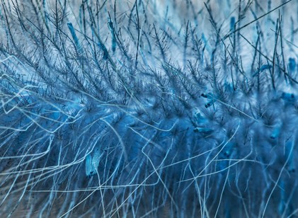 Ez lehet az új azbeszt! Súlyos egészségügyi kockázatra figyelmeztetnek a nanoszálak kutatói című cikk nyitóképe