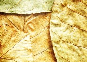 Új hírek Alzheimert illetően...