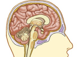 Kis orvoskalauz - mit vizsgál az endokrinológus?