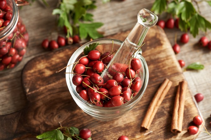 Szívritmuszavar és érszűkület ellen gyógynövények: ezeket javasolta a bükki füvesember című cikk nyitóképe