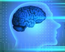 A dohányzás biokémiai folyamatokat indít be az emberi agyban