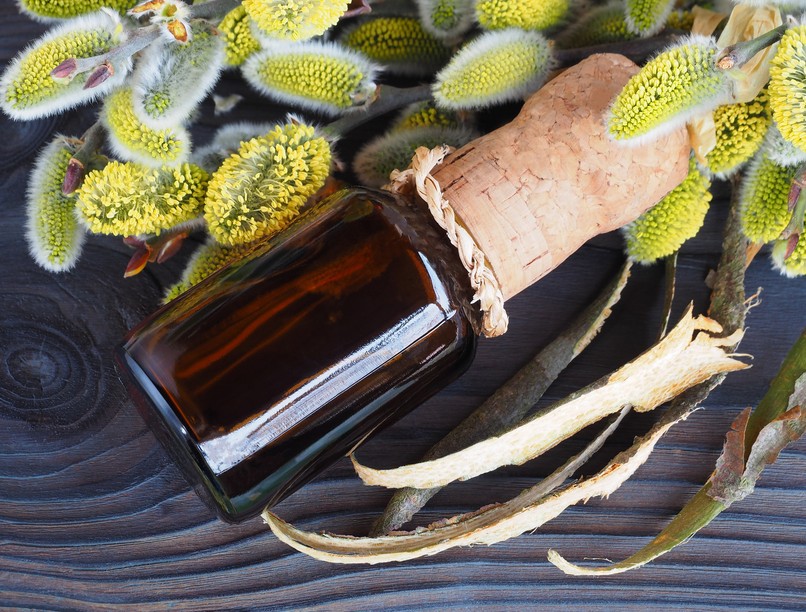 fűzfakéregből készült aszpirin házilag