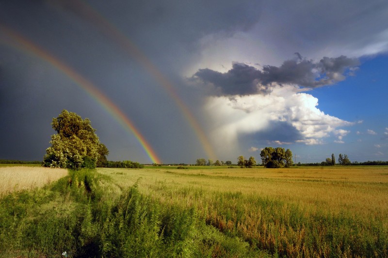 Érzékeny a melegfrontra, megviseli a hidegfront? Így enyhítheti a panaszait!