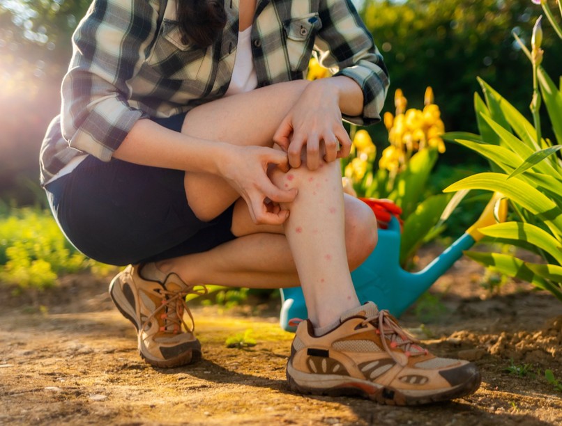 szúnyogok ellen kémiai biológiai irtószer