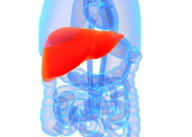 Méregtelenítés ünnepek után: hasznos vagy veszélyes lehet?